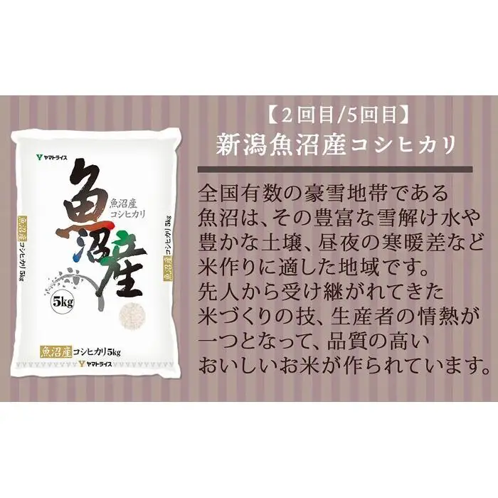 【定期便全6回】新潟県産米厳選食べ比べ 5kg（受注の翌月から毎月配送）