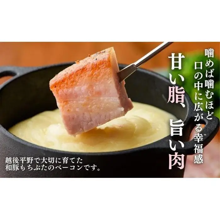 越後もちぶた(新潟県産和豚もちぶた) バラベーコンブロック 1kg