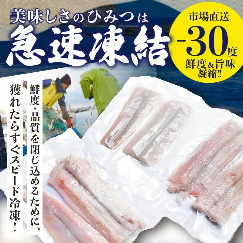 瀬戸内海のハモの骨切り（鍋・天ぷら用）