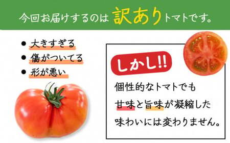 ご家庭用 トマト 桃太郎 約 2kg 訳あり | 野菜 やさい とまと 熊本県 玉名市 玉名