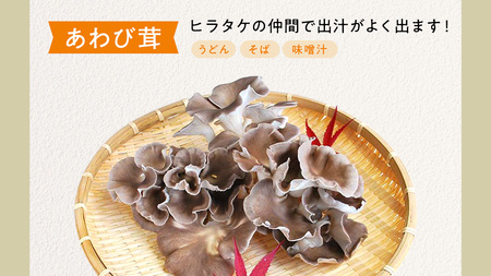 【 3ヶ月連続定期便 】きのこ の 詰め合わせ Sサイズ ( 約1kg ) （茨城県共通返礼品：城里町）
