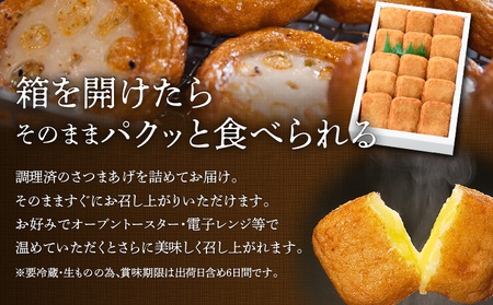 【5営業日以内に発送】 揚立屋 さつまあげ ふるさと便 チーズ入り K197-004 スピード配送 最短 すぐ届く お急ぎ