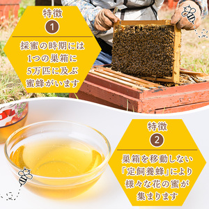 No.1074 鹿児島県産 はちみつ(600g×2本・計1.2kg) 国産 九州産 鹿児島県産 はちみつ ハチミツ 蜂蜜 山蜜 調味料 セット ギフト 贈答 プレゼント【神之門養蜂】