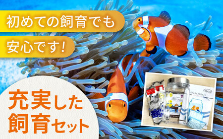 水槽 カクレクマノミ 飼育セット ボトルアクアリウムマリン2（キットのみ） [BACD002]