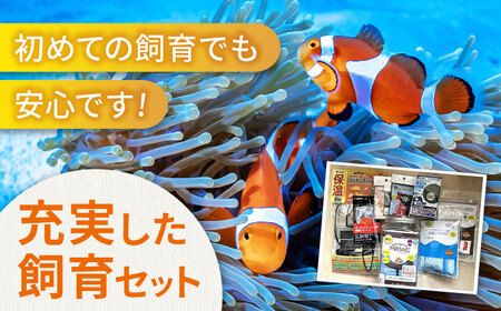 水槽 カクレクマノミ飼育セット（1ヶ月死亡補償付き）ボトルアクアリウムマリン2[BACD003]