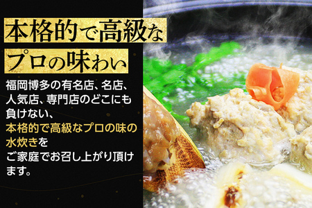 博多水炊き（はかた地どり切り身・つみれ）セット 2～3人前 お取り寄せグルメ お取り寄せ 福岡 お土産 九州 福岡土産 取り寄せ グルメ 福岡県