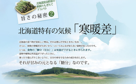 【2027年春発送】極太 グリーンアスパラ 3Lサイズ 1kg (スイートベジタブルファクトリー)
