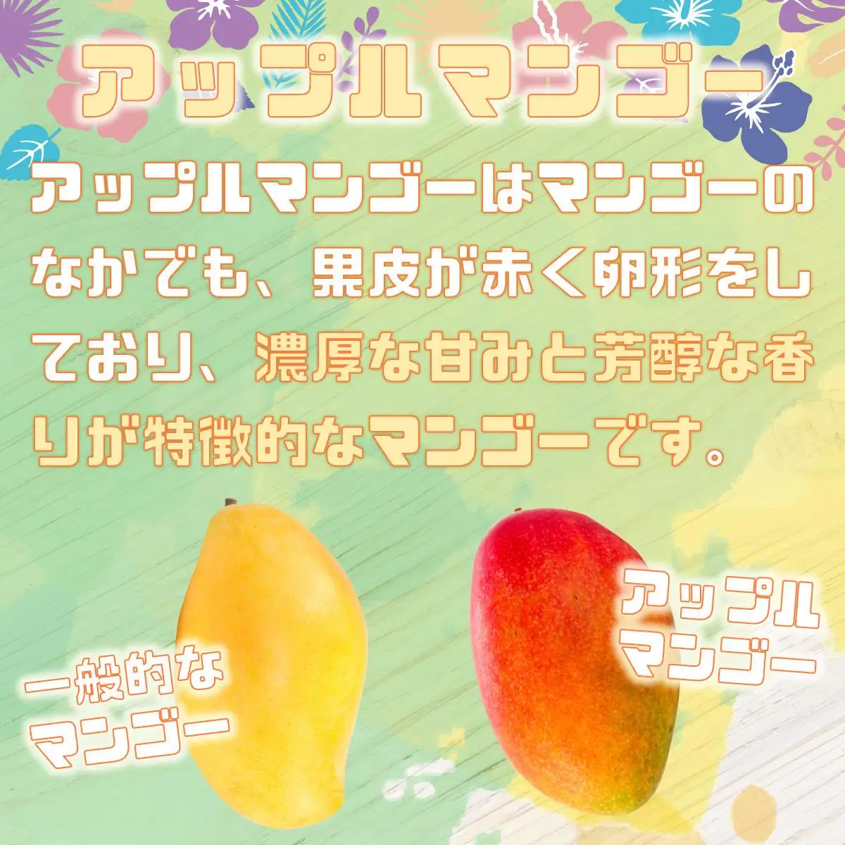 完熟 アップルマンゴー 2L 350g～460g 