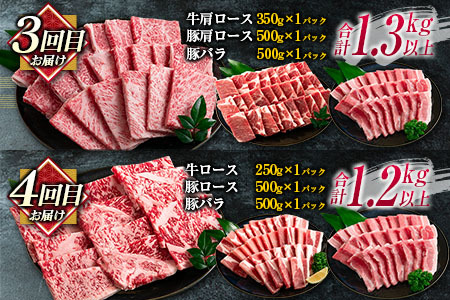 数量限定 6か月 お楽しみ 定期便 宮崎牛 豚肉 焼肉 セット 総重量8kg以上_N8-25