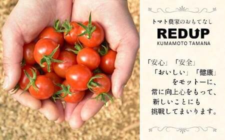 【特別栽培農産物】ソムリエ ミニトマト 食べ比べ 3kg ( プラチナ + ダイヤ ) | 野菜 トマト とまと ミニトマト プチトマト 熊本 玉名