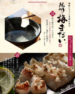 岩谷水産 紀州梅まだい しゃぶしゃぶセット（じゃばらポン酢付き） /  鯛 真鯛 鯛しゃぶ 梅真鯛 魚貝 海鮮 【iws205】