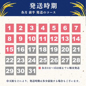 ＜2026年11月から2027年1月【前半】コース＞《先行予約》令和8年産 新米 3ヶ月定期便 《特別栽培米》 つや姫【無洗米】 合計15kg（5kg×3回） 2026年産 山形県産 【毎月前半（1日頃から15日頃）発送】　045-C-SR004-202611前-202701前
