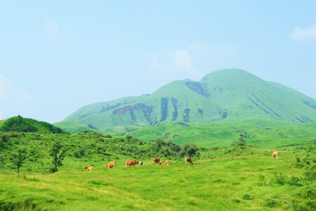 【熊本県産】 あか牛 サーロインステーキ 400g 熊本県産 くまもとあか牛 国産牛 国産 牛肉 牛 霜降り サーロイン ステーキ ステーキ肉 高級 三協畜産 熊本 阿蘇 南小国町 送料無料