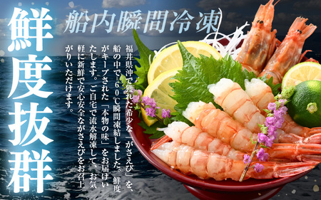 【発泡箱入り】がさえび 約600g エビ 冷凍 [A-23106]