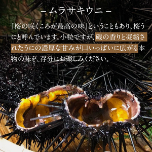 S002-022_殻出し生うに（ムラサキウニ）50g×2本 うに用醤油付【先行受付】 生うに ミョウバン 不使用 天然 濃厚 新鮮 無塩 高評価 ムラサキウニ ウニ 瓶詰 海鮮 軍艦巻き うに丼 うにパスタ お取り寄せ お取り寄せグルメ 熊本県 天草市 送料無料