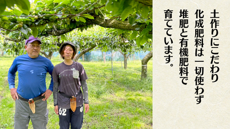 梨 秋月 約 5kg 6玉～14玉 (茨城県共通返礼品 かすみがうら市) [DH004sa]