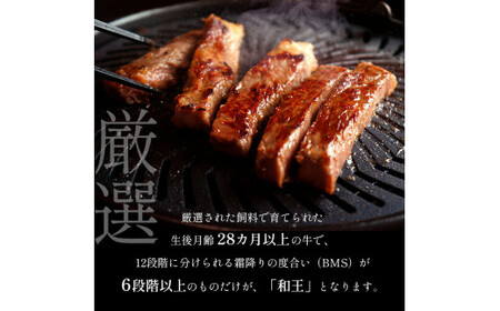 熊本県産 Ａ5等級 和王 柔らか 赤身 焼肉 900g | 肉 にく お肉 おにく 牛 牛肉 和牛 熊本県 玉名市