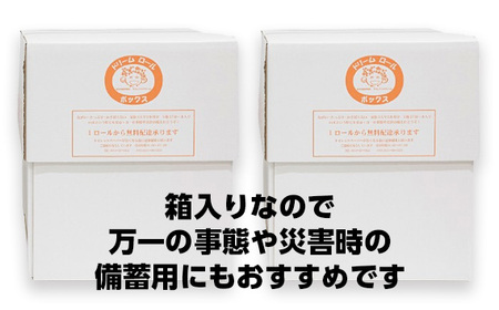 【就労支援】 トイレットペーパー 個包装 ダブル ドリームロール 27ロール×2箱 計54ロール 【1個：長さ30ｍ】 トイレットペーパー ﾄｲﾚｯﾄﾍﾟｰﾊﾟｰ 日用品 ﾄｲﾚｯﾄﾍﾟｰﾊﾟｰ 備蓄 ﾄｲﾚｯﾄﾍﾟｰﾊﾟｰ 山梨県 西桂町【n0487_tii_A】