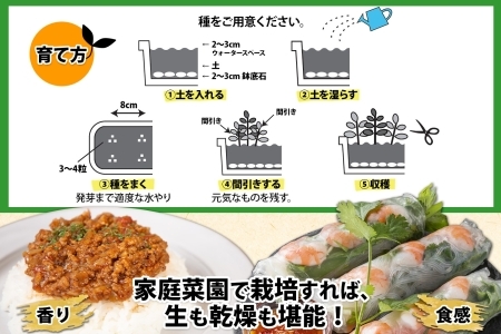 北海道 生スパイスの土 5L 2kg 2袋 培養土 スパイス 土 肥料入り 家庭菜園 プランター ハーブ 畑 土づくり 初心者 パクチー 栽培 コリアンダー クミン 送料無料 十勝 士幌町【F16-2】