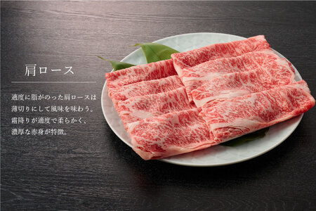 佐賀牛 肩ロース500g & ウデ・モモスライス500g セット(合計1kg)(H065143)