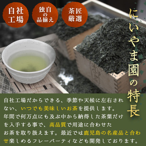No.1073-A ＜業務用＞かごしま茶(100g×10袋・計1kg) 国産 九州産 鹿児島県産 日本茶 お茶 茶葉 小分け【にいやま園】
