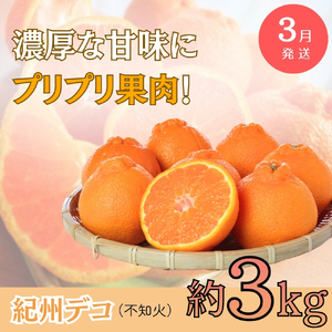 【全3回定期便】旬のフルーツ定期便 【田村みかん /  紀州デコ(不知火) /  桃】 ～和歌山の旬をお届け～ / みかん ミカン 温州みかん 有田みかん 不知火 デコポン 桃 もも モモ 柑橘 フルーツ 果物 くだもの 旬 人気 甘い 定期便【tkb313】