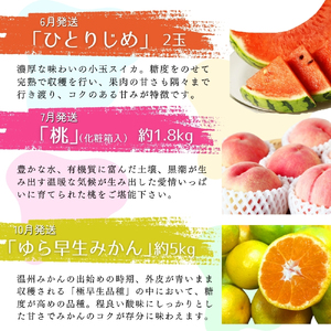 【全6回定期便】旬のフルーツ定期便 【田村みかん / 紀州デコ(不知火) / 清見オレンジ / 小玉スイカ / 桃 / ゆら早生みかん】 ～和歌山の旬をお届け～ / みかん ミカン 温州みかん 有田みかん 不知火 デコポン 桃 ももフルーツ 果物 定期便【tkb314】
