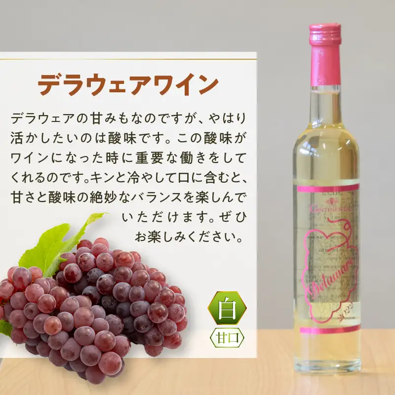 ワイン Premiumワインギフト（白）500ml×2本『シャインマスカットワイン＋デラウェアワイン』～2022～（HO）B16-775