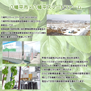 岩手県産 温泉バジル 100g×2袋 計200g ／ バジル 生バジル ばじる 新鮮 生 薬味 ハーブ 国産 八幡平市産 スマート農業 イタリアン 産地直送 農家直送 直送 常温発送 ジェノベーゼ 料理 ソース ピザ ピッツァ 調理 パスタ 炒め物 小分け  計200グラム オススメ おすすめ 野菜 八幡平スマートファーム