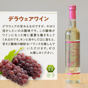 ワイン Premiumワインギフト（白）500ml×2本『シャインマスカットワイン＋デラウェアワイン』～2023～（HO）B16-776