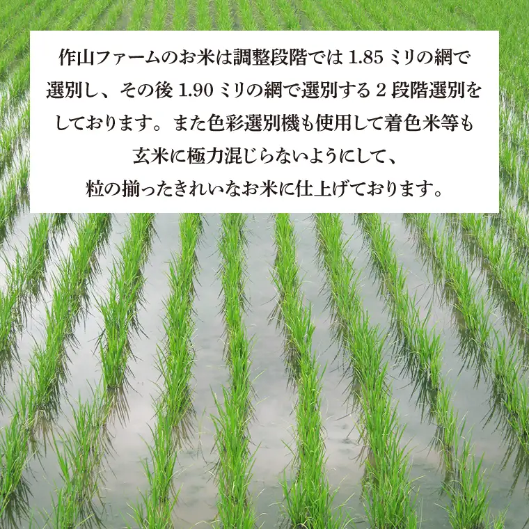 【玄米】令和7年産 特別栽培米 ひとめぼれ 20kg CP036 完熟夕陽米