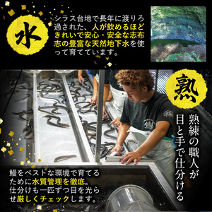 【数量限定】鹿児島県産！秘伝の特上スタミナうなぎ白焼き＜2尾・計240g以上＞肝吸いセット！ a4-098