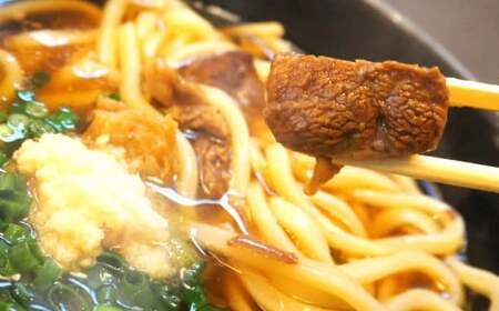 小倉名物 絶品肉うどん 10食セット