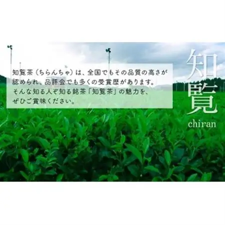お茶で健康一番!知覧厳選緑茶ティーバッグ4本セット【1185829】
