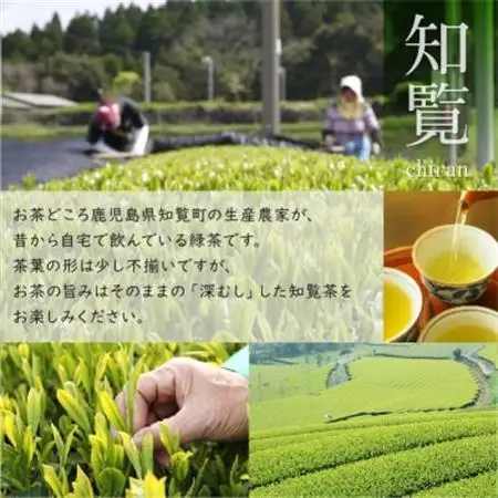 知覧茶農家が自宅で飲むこだわりのお茶8本セット【1185758】