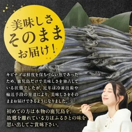 鹿児島県産キビナゴ丸ごと冷凍1.5kg 008-65【配送不可地域：離島】【1710423】
