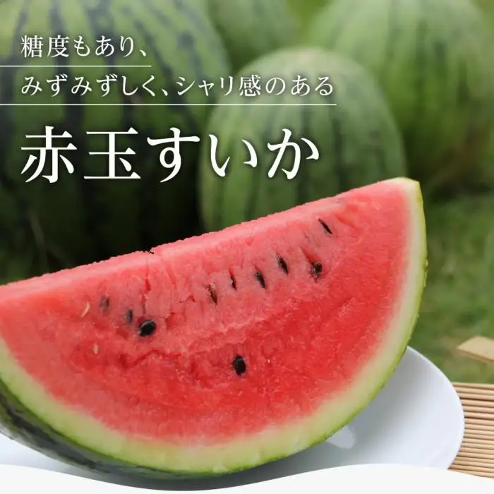 【夏季限定】飯塚農場産の八色原すいか　大玉2玉（赤1玉・黄1玉）セット【2026年7月下旬より順次発送予定】