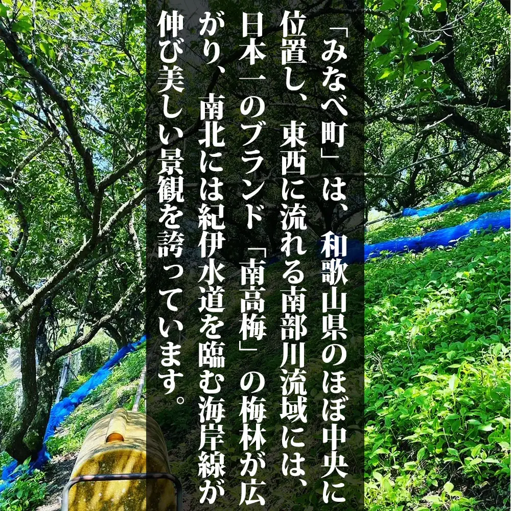 【ちょうどいい塩梅】愛ちゃんの紫蘇漬 600g aisu002A【aisu002A】
