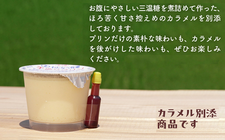 手造りプリン6個セット／冷蔵 ネッカ牛乳 ネッカ卵 蒸しプリン ソース別 牧場 スイーツ おいしい ご褒美 おやつ 牧場 搾りたて グルメ お土産 自宅用 ギフト 贈り物 島根県 安来市【06-WB-19】