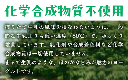 ヨーグルト500ｇ（プレーン）6個セット／ 無糖 ネッカ牛乳 ノンホモ製法 セット 搾りたて 栄養 こだわり おやつ デザート 朝食 スイーツ 自然派 化学合成物質不使用 安心 乳製品 乳酸菌 腸活 健康 島根県 安来市 【09-WB-20】