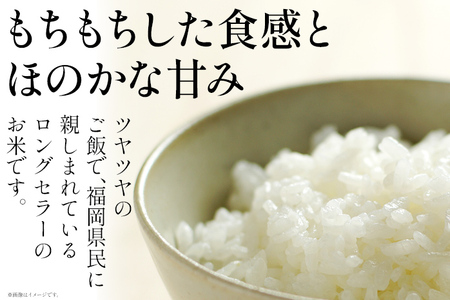 令和7年産 金のめし丸夢つくし精米5kg 夢つくし 森光商店 老舗 福岡 お米 米 ごはん ご飯 お弁当 おにぎり 金のめし丸県産米 福岡ブランド米 めし丸 志免 志免町 福岡県