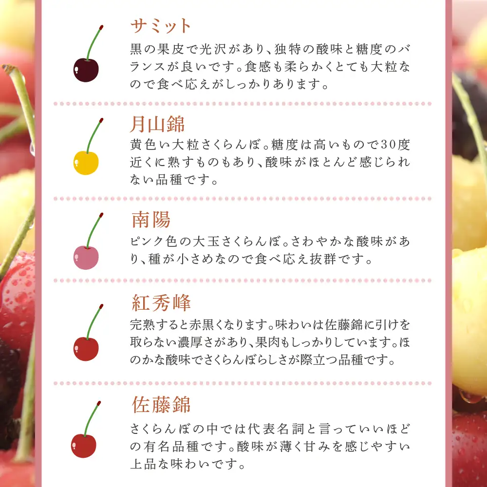 【 先行受付 】さくらんぼ 4種 500g 品種お任せ セット 詰め合わせ 大橋さくらんぼ園 サクランボ チェリー 果物 果物類 フルーツ デザート 完熟 甘い 北海道 芦別市