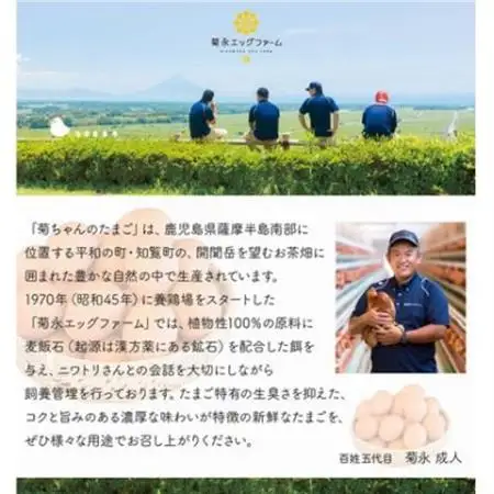 菊ちゃんのたまご10個入×6パック【配送不可地域：離島】【1185775】