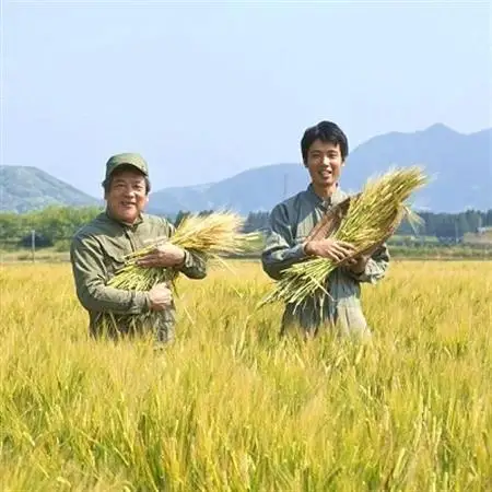 川辺味噌1kg×5袋セット【1185769】