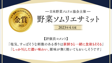【 2026年収穫分 先行予約 】 糖度9度以上 スーパーフルーツトマト てるて姫 中箱 約1.2kg × 1箱 と PREMIUM ドレたれ セット [BC077sa]