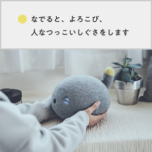 の*こ様 Panasonic NICOBO ニコボ 本体 付属品付き レンタル] パナソニック NICOBO(ニコボ) ロボット ストーングレー