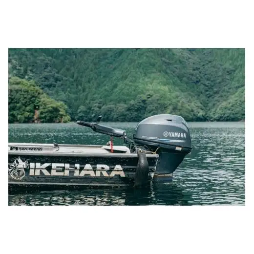 池原ダム レンタルボート【ウィザード396B 30馬力】クラブ池原 バス釣り 1日乗船券 