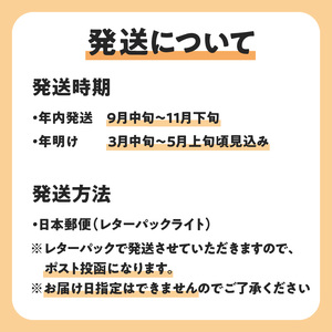 【先行受付】沖永良部島の甘くて美味しい無添加ドライフルーツ（パパイヤ）30g×5袋 W051-008u 加工品 果物