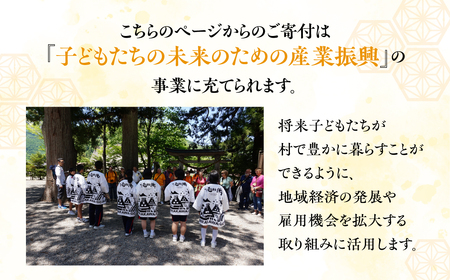《返礼品なし》30000円 岐阜県白川村への寄附 応援寄附金 世界遺産 白川郷 三万円 3万円 寄付 子どもたちの未来のための産業振興 寄付金 飛騨 合掌造り[S644]