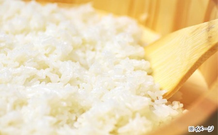 令和７年度産 新米 淡路島産「橙心(きぬひかり)」　精米20kg　◆配送9月末～